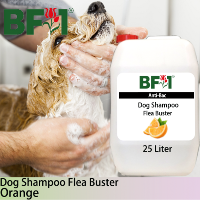 Dog Shampoo Flea Buster (DSO-Dog) - Orange - 25L ⭐⭐⭐⭐⭐