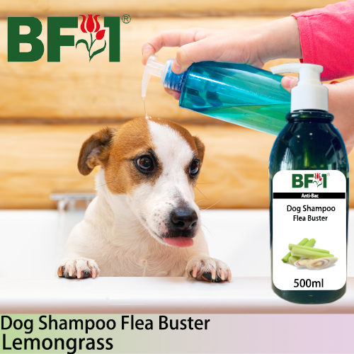 Dog Shampoo Flea Buster (DSO-Dog) - Lemongrass - 500ml ⭐⭐⭐⭐⭐