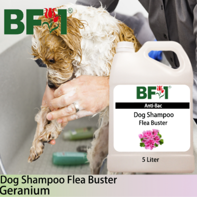 Dog Shampoo Flea Buster (DSO-Dog) - Geranium - 5L ⭐⭐⭐⭐⭐