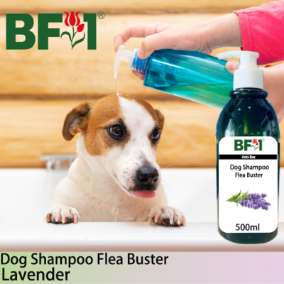 Dog Shampoo Flea Buster (DSO-Dog) - Lavender - 500ml ⭐⭐⭐⭐⭐