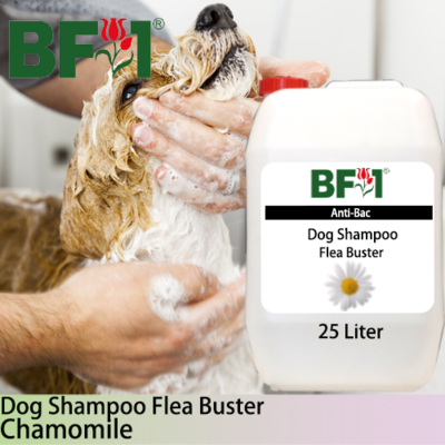 Dog Shampoo Flea Buster (DSO-Dog) - Chamomile - 25L ⭐⭐⭐⭐⭐