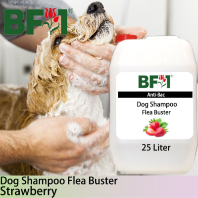 Dog Shampoo Flea Buster (DSO-Dog) - Strawberry - 25L ⭐⭐⭐⭐⭐