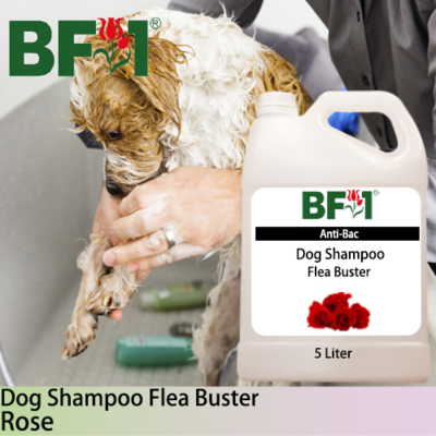Dog Shampoo Flea Buster (DSO-Dog) - Rose - 5L ⭐⭐⭐⭐⭐