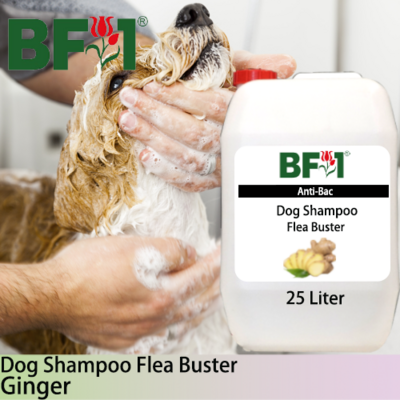Dog Shampoo Flea Buster (DSO-Dog) - Ginger - 25L ⭐⭐⭐⭐⭐