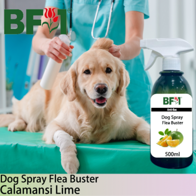 Dog Spray Flea Buster (DSY-Dog) - lime - Calamansi Lime - 500ml ⭐⭐⭐⭐⭐