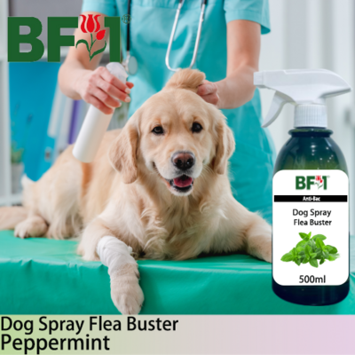 Dog Spray Flea Buster (DSY-Dog) - mint - Peppermint - 500ml ⭐⭐⭐⭐⭐
