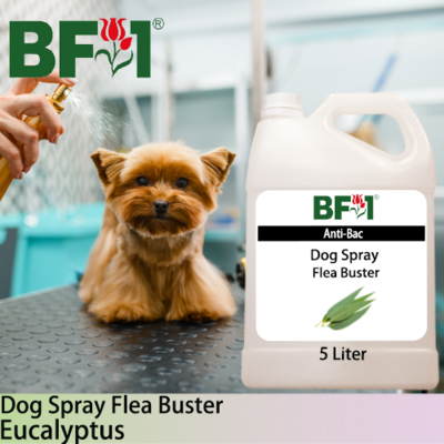 Dog Spray Flea Buster (DSY-Dog) - Eucalyptus - 5L ⭐⭐⭐⭐⭐