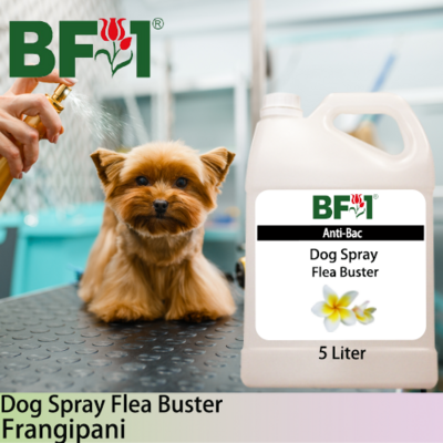 Dog Spray Flea Buster (DSY-Dog) - Frangipani - 5L ⭐⭐⭐⭐⭐