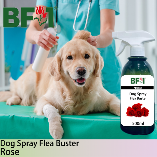 Dog Spray Flea Buster (DSY-Dog) - Rose - 500ml ⭐⭐⭐⭐⭐