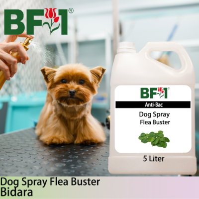 Dog Spray Flea Buster (DSY-Dog) - Bidara - 5L ⭐⭐⭐⭐⭐