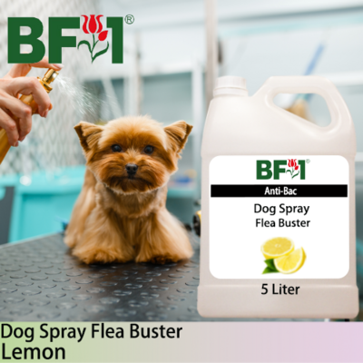 Dog Spray Flea Buster (DSY-Dog) - Lemon - 5L ⭐⭐⭐⭐⭐