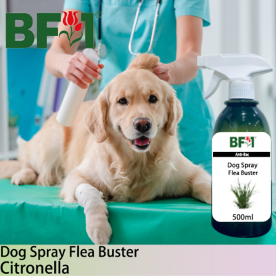 Dog Spray Flea Buster (DSY-Dog) - Citronella - 500ml ⭐⭐⭐⭐⭐