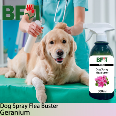 Dog Spray Flea Buster (DSY-Dog) - Geranium - 500ml ⭐⭐⭐⭐⭐