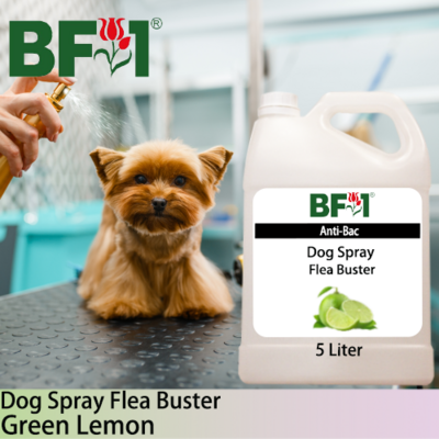 Dog Spray Flea Buster (DSY-Dog) - Lemon - Green Lemon - 5L ⭐⭐⭐⭐⭐