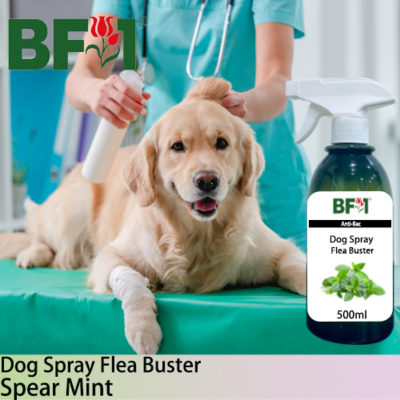 Dog Spray Flea Buster (DSY-Dog) - mint - Spear Mint - 500ml ⭐⭐⭐⭐⭐