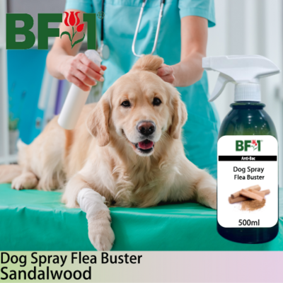 Dog Spray Flea Buster (DSY-Dog) - Sandalwood - 500ml ⭐⭐⭐⭐⭐