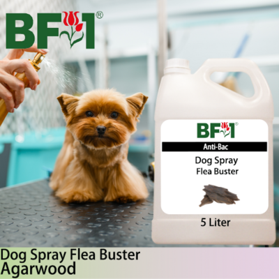 Dog Spray Flea Buster (DSY-Dog) - Agarwood - 5L ⭐⭐⭐⭐⭐