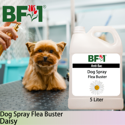 Dog Spray Flea Buster (DSY-Dog) - Daisy - 5L ⭐⭐⭐⭐⭐
