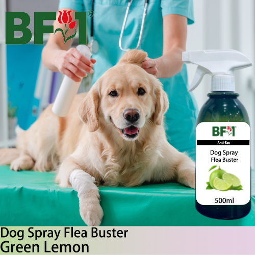 Dog Spray Flea Buster (DSY-Dog) - Lemon - Green Lemon - 500ml ⭐⭐⭐⭐⭐