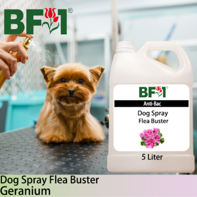 Dog Spray Flea Buster (DSY-Dog) - Geranium - 5L ⭐⭐⭐⭐⭐
