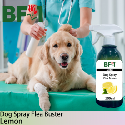 Dog Spray Flea Buster (DSY-Dog) - Lemon - 500ml ⭐⭐⭐⭐⭐