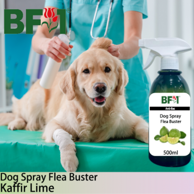 Dog Spray Flea Buster (DSY-Dog) - lime - Kaffir Lime - 500ml ⭐⭐⭐⭐⭐