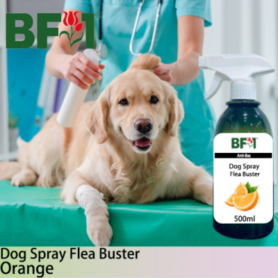 Dog Spray Flea Buster (DSY-Dog) - Orange - 500ml ⭐⭐⭐⭐⭐