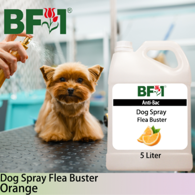 Dog Spray Flea Buster (DSY-Dog) - Orange - 5L ⭐⭐⭐⭐⭐