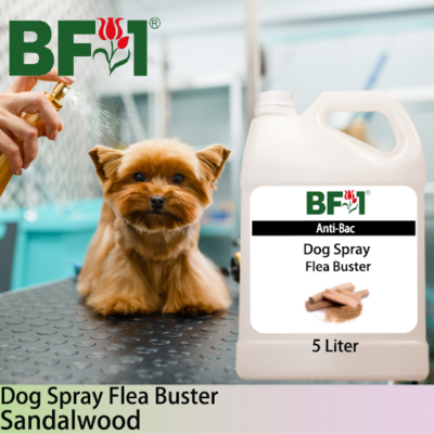 Dog Spray Flea Buster (DSY-Dog) - Sandalwood - 5L ⭐⭐⭐⭐⭐