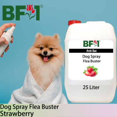 Dog Spray Flea Buster (DSY-Dog) - Strawberry - 25L ⭐⭐⭐⭐⭐