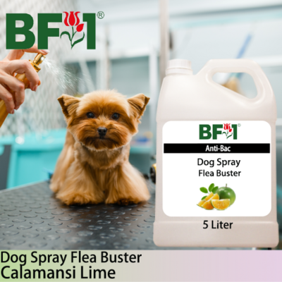 Dog Spray Flea Buster (DSY-Dog) - lime - Calamansi Lime - 5L ⭐⭐⭐⭐⭐