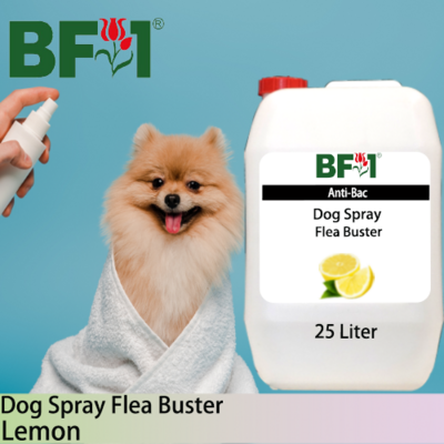 Dog Spray Flea Buster (DSY-Dog) - Lemon - 25L ⭐⭐⭐⭐⭐