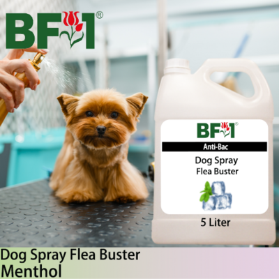 Dog Spray Flea Buster (DSY-Dog) - Menthol - 5L ⭐⭐⭐⭐⭐