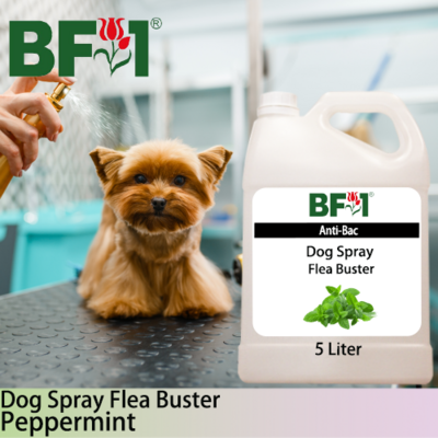 Dog Spray Flea Buster (DSY-Dog) - mint - Peppermint - 5L ⭐⭐⭐⭐⭐
