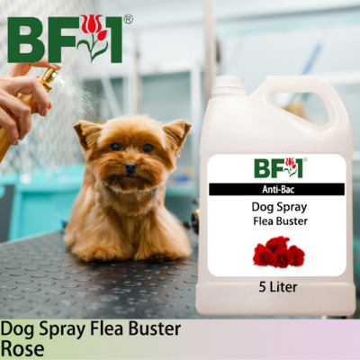 Dog Spray Flea Buster (DSY-Dog) - Rose - 5L ⭐⭐⭐⭐⭐