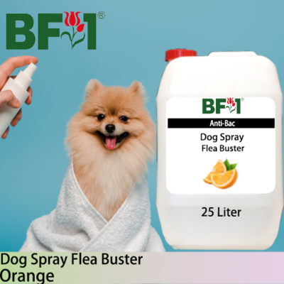 Dog Spray Flea Buster (DSY-Dog) - Orange - 25L ⭐⭐⭐⭐⭐