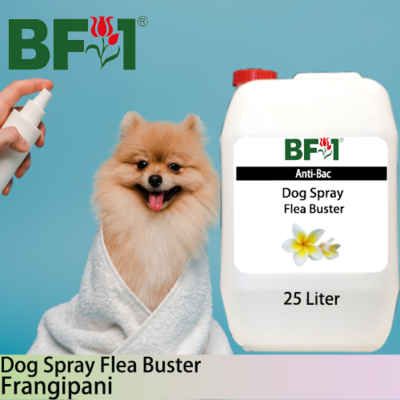 Dog Spray Flea Buster (DSY-Dog) - Frangipani - 25L ⭐⭐⭐⭐⭐