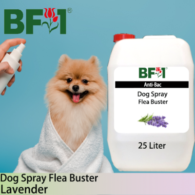 Dog Spray Flea Buster (DSY-Dog) - Lavender - 25L ⭐⭐⭐⭐⭐