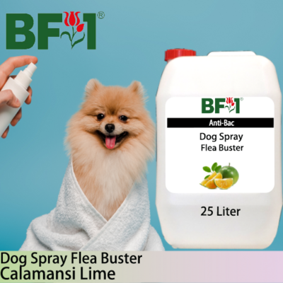 Dog Spray Flea Buster (DSY-Dog) - lime - Calamansi Lime - 25L ⭐⭐⭐⭐⭐