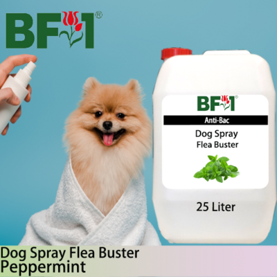 Dog Spray Flea Buster (DSY-Dog) - mint - Peppermint - 25L ⭐⭐⭐⭐⭐