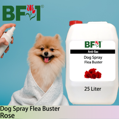 Dog Spray Flea Buster (DSY-Dog) - Rose - 25L ⭐⭐⭐⭐⭐