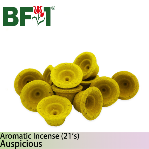 Aromatic Incense (21's) - Auspicious - [Pre Order]