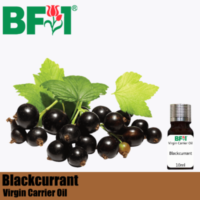 VCO - Blackcurrant Virgin Carrier Oil - 10ml
