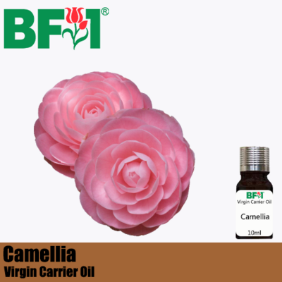 VCO - Camellia Virgin Carrier Oil - 10ml