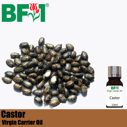 VCO - Castor Virgin Carrier Oil - 10ml