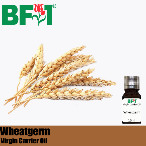 VCO - Wheatgerm Virgin Carrier Oil - 10ml