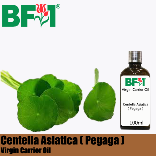 VCO - Centella Asiatica ( Pegaga ) Virgin Carrier Oil - 100ml