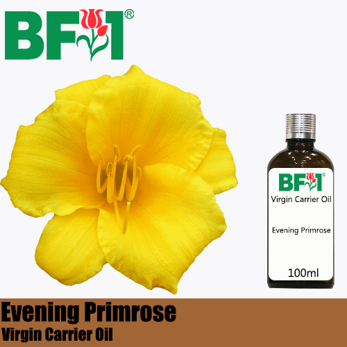 VCO - Evening Primrose Virgin Carrier Oil - 100ml