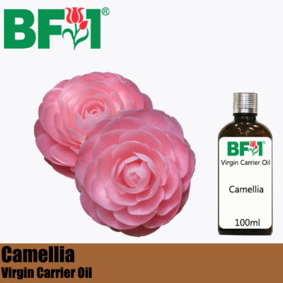 VCO - Camellia Virgin Carrier Oil - 100ml