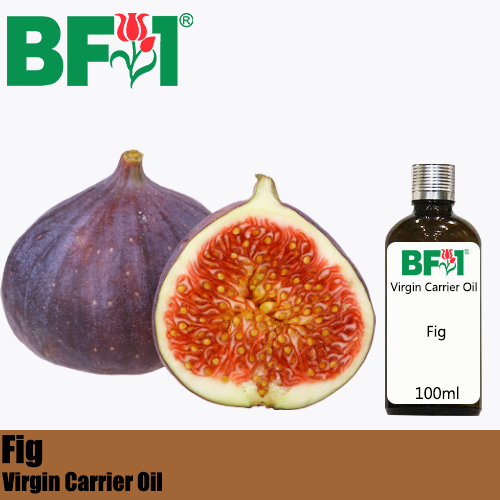 VCO - Fig Virgin Carrier Oil - 100ml